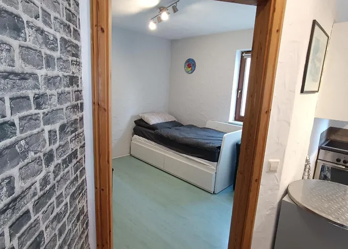 Haus Neckarblick شقة