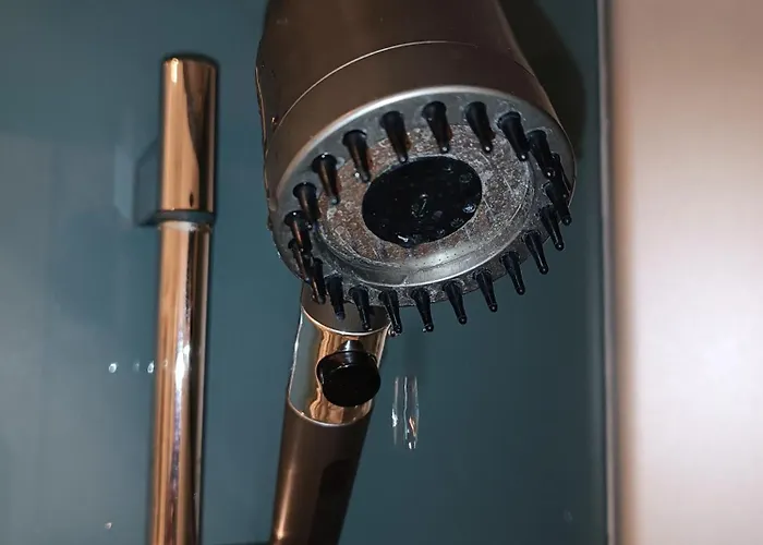 Haus Neckarblick Appartamento